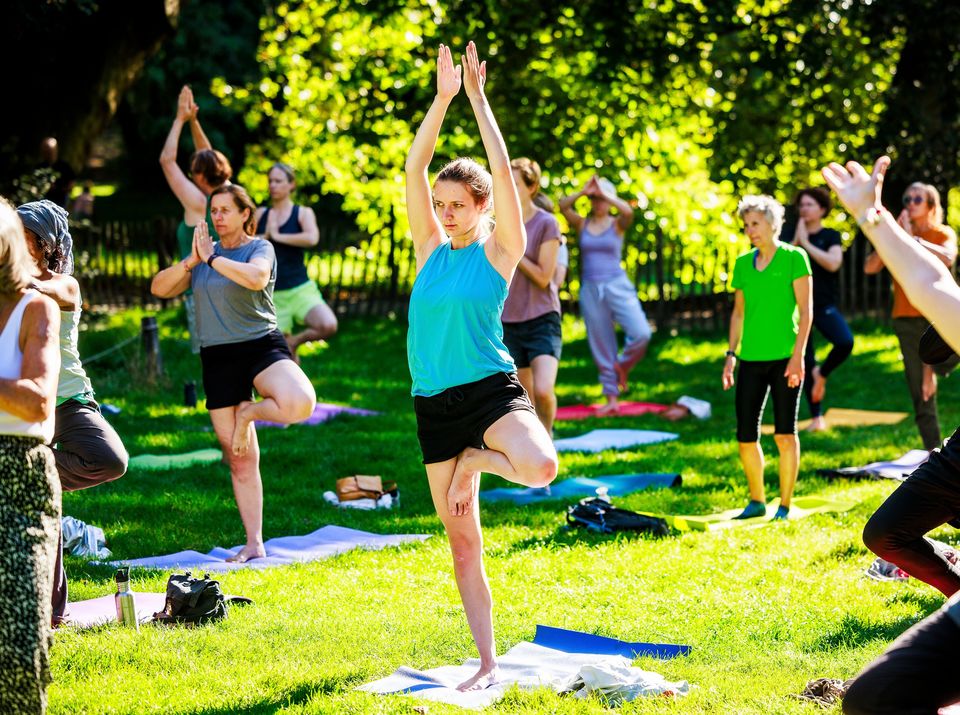 Foto van gratis yogales in het park
